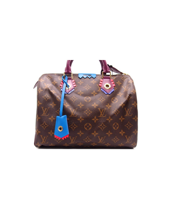 Louis Vuitton Speedy 30 Monogram Limited