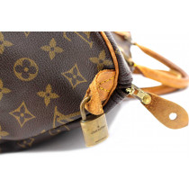 Louis Vuitton Speedy 40 Monogram