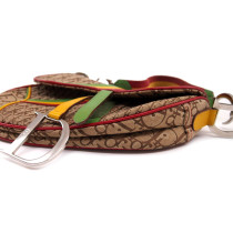 Dior Saddle Rasta Trotter Tessuto Beige