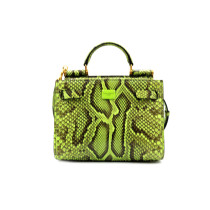 Dolce & Gabbana Sicily 62 Pitone Verde