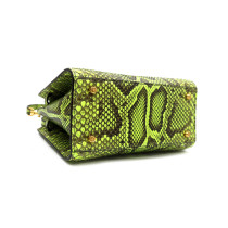 Dolce & Gabbana Sicily 62 Pitone Verde