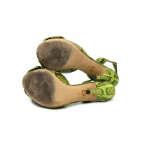 Dolce & Gabbana Décolleté Pitone Verde