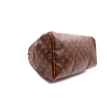 Louis Vuitton Speedy 35 Monogram