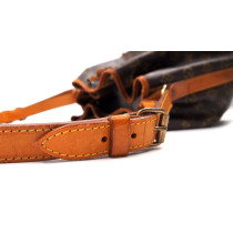 Louis Vuitton Noe' Monogram