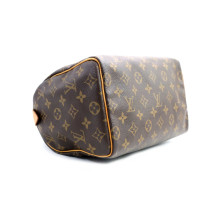 Louis Vuitton Speedy 25 Monogram