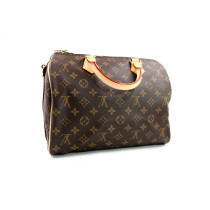 Louis Vuitton Speedy 30 Monogram