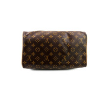 Louis Vuitton Speedy 30 Monogram