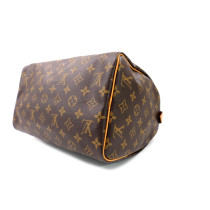 Louis Vuitton Speedy 30 Monogram